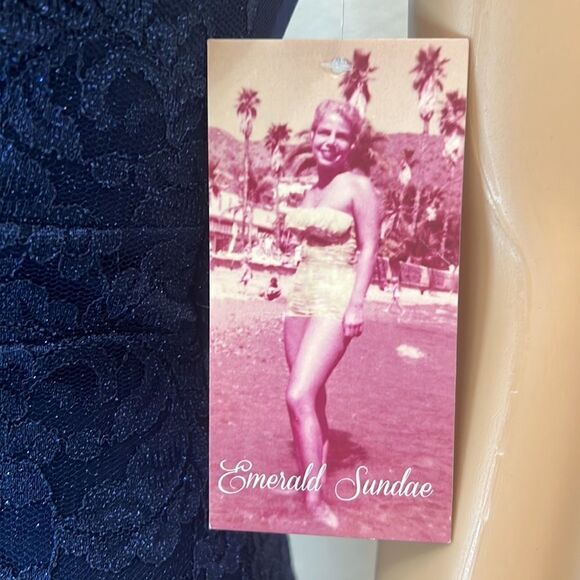 Emerald Sundae Small Dress Cut Out Sheer Padded Lined Navy Floral Shimmer Sexy - Picture 3 of 15